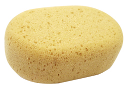 Car Sponge
